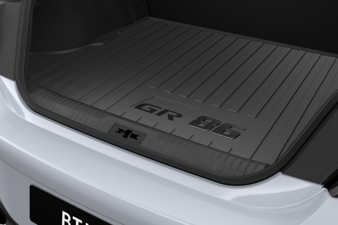 Cargo Tray 