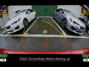 Reverse Automatic Braking Image
