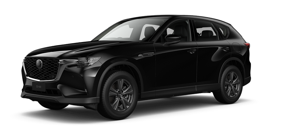 Jet Black Mica