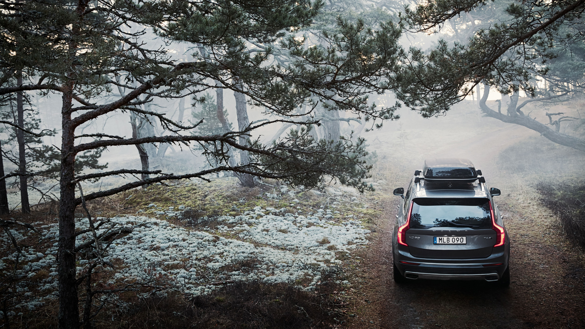  Safety First: Practical Tips for Volvo Car Drivers During Winter