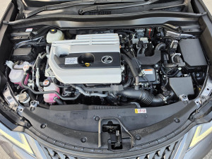 2021 Lexus UX MZAH10R UX250h Luxury SUV