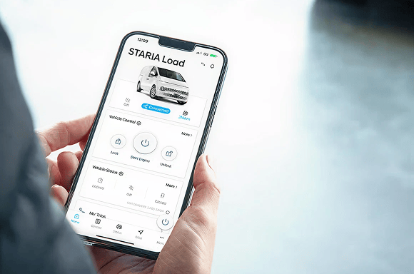 Bluelink Connectivity 