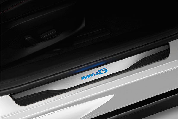 SCUFF PLATE - LED