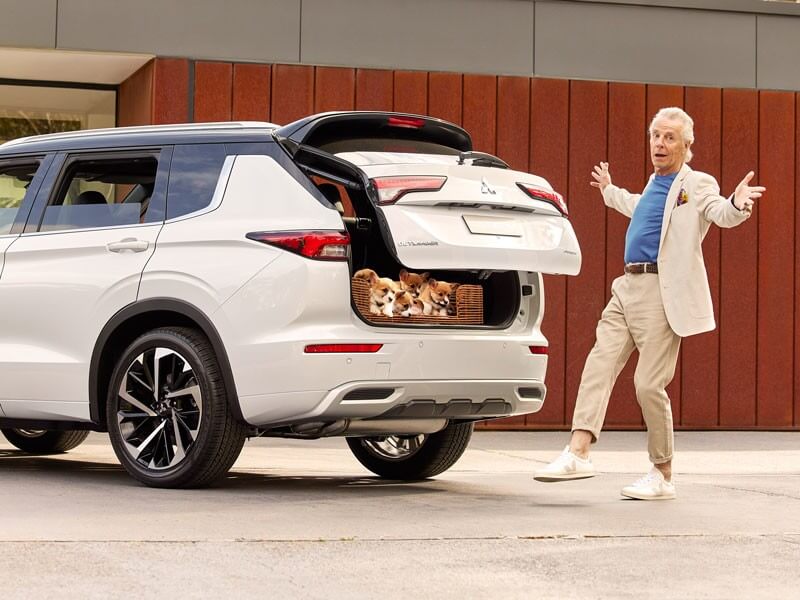 Flaunt that auto tailgate. Image