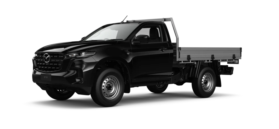True Black Mica