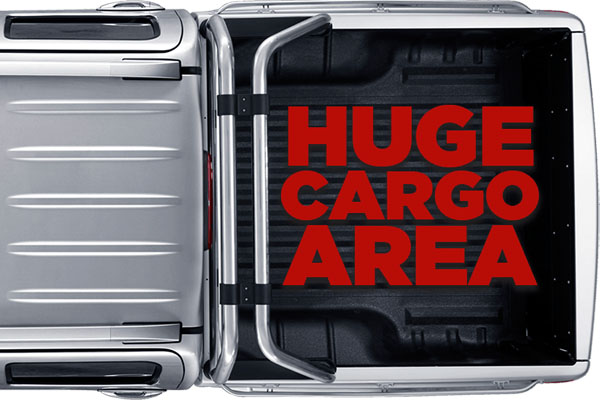 Steed Dual Cab Petrol Payload