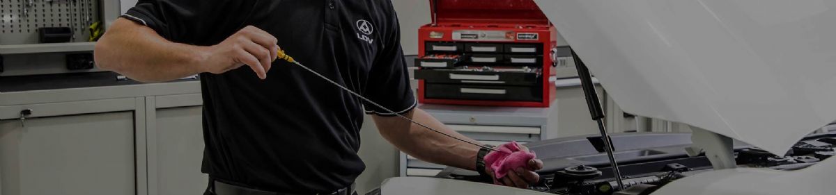 If you would like to book your LDV in for a service at our dealership, just fill in the form below and we will be in contact.