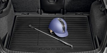 Double-sided boot mat