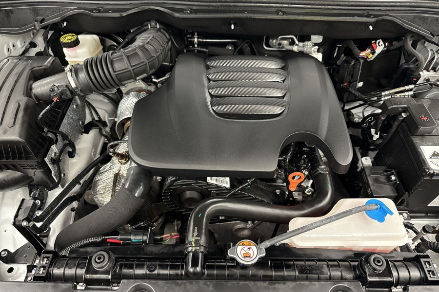 2022 GWM Ute NPW Cannon-X Ute Image 10