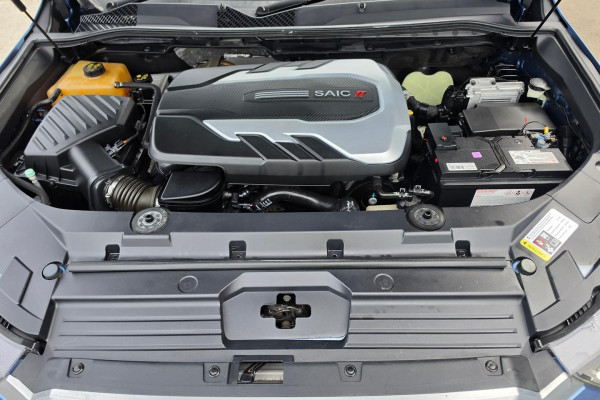 2021 LDV D90 SV9A Executive SUV Image 29