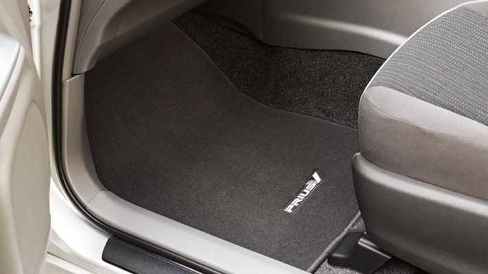 <img src="Carpet Floor Mats (Front and rear set)