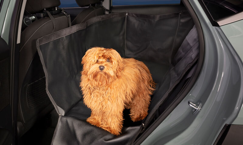 Rear seat pet cover