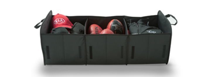 Cargo Organiser