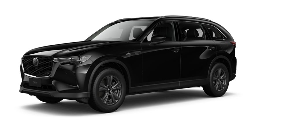 Jet Black Mica