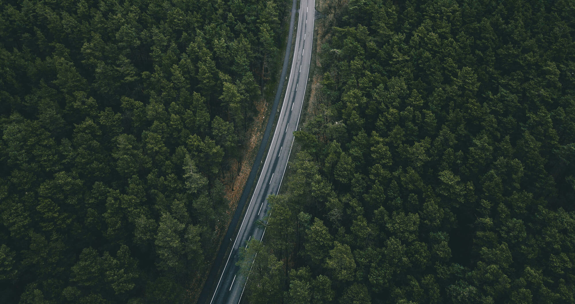 Off-Road Expert Mode Image