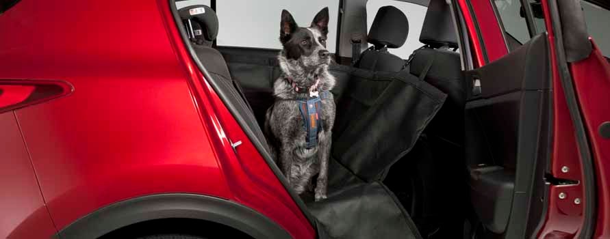 Pet Seat Cover