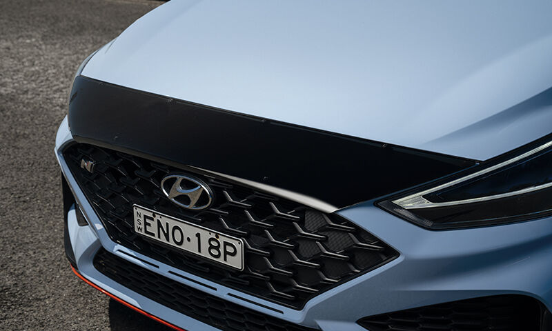 Bonnet protector - dark tint