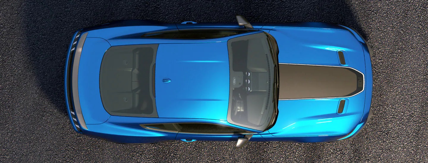 Dynamic by design. Image