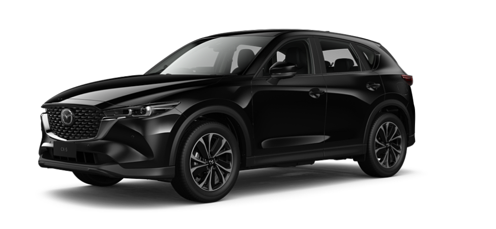 Jet Black Mica