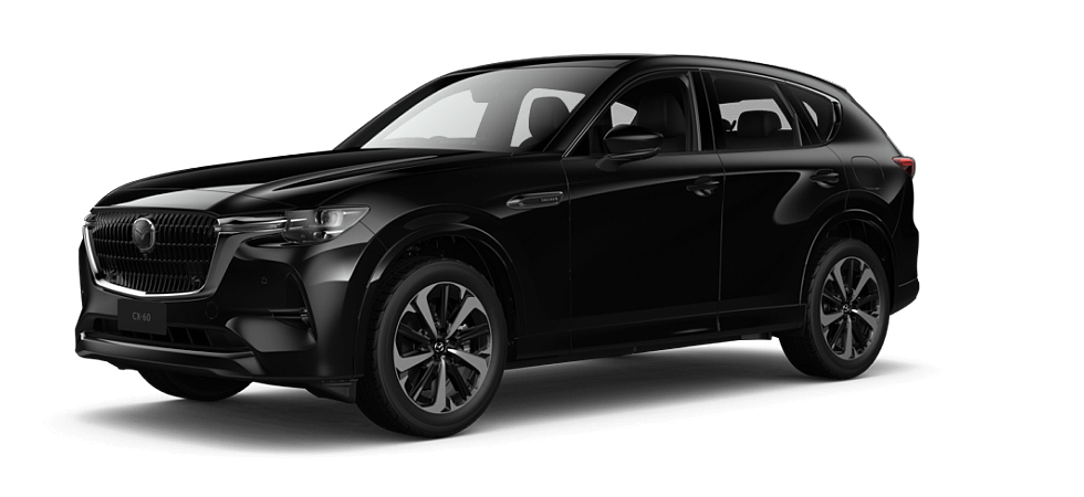 Jet Black Mica