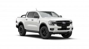 XLT 4x2 Double Cab 