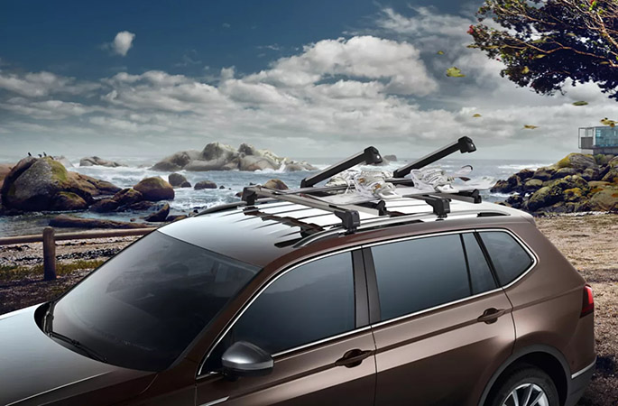 Ski and snowboard carrier