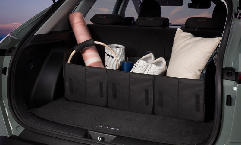 Cargo organiser