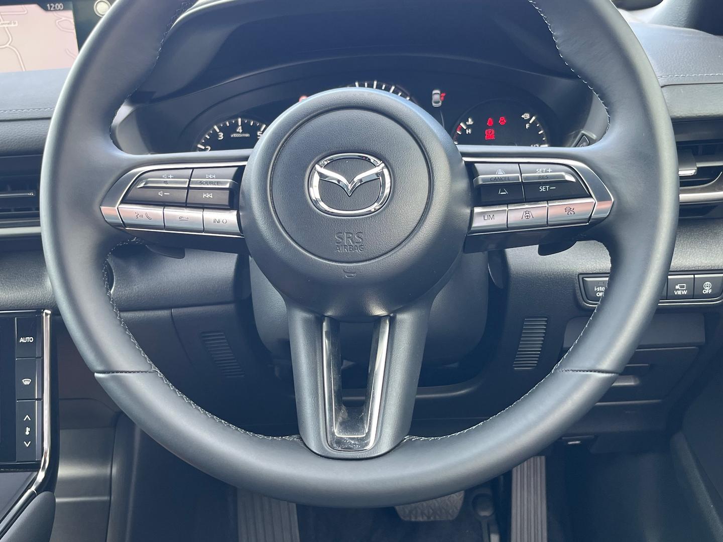 2023 Mazda MX-30 DR Series G20e Evolve SUV Image 23