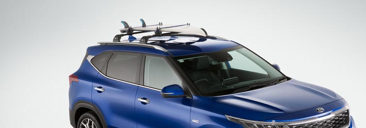 Surfboard Carrier