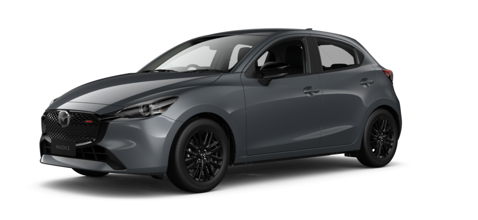 Polymetal Grey Metallic