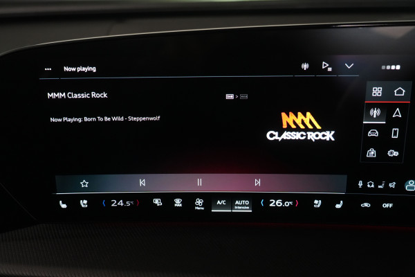 2025 Audi SQ5 GU  SUV Image 39