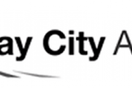 New/Used Vehicle Sales Consultant - Bay City Autos