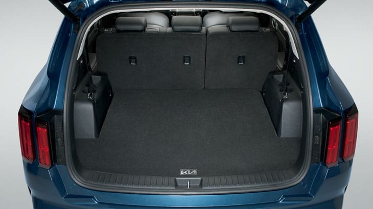 Carpet Cargo Mat - Trifold