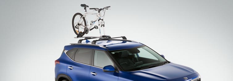 Roof Bicycle Carrier (Fork Mount)