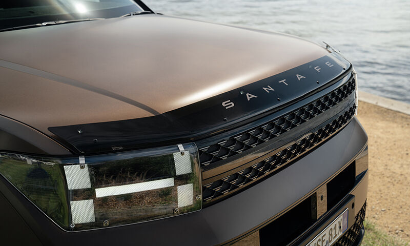 Bonnet protector - dark tint