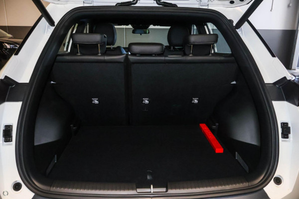 2026 GAC EMZOOM  Luxury SUV Image 10