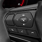 Steering Wheel Controls Image