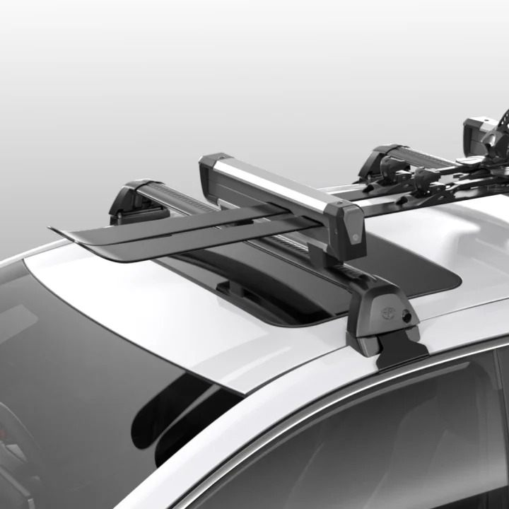 Ski Carrier
