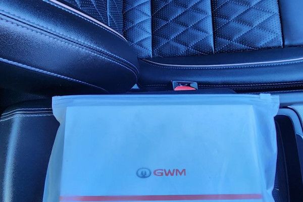 2022 GWM Ute NPW Cannon-X Ute Image 20