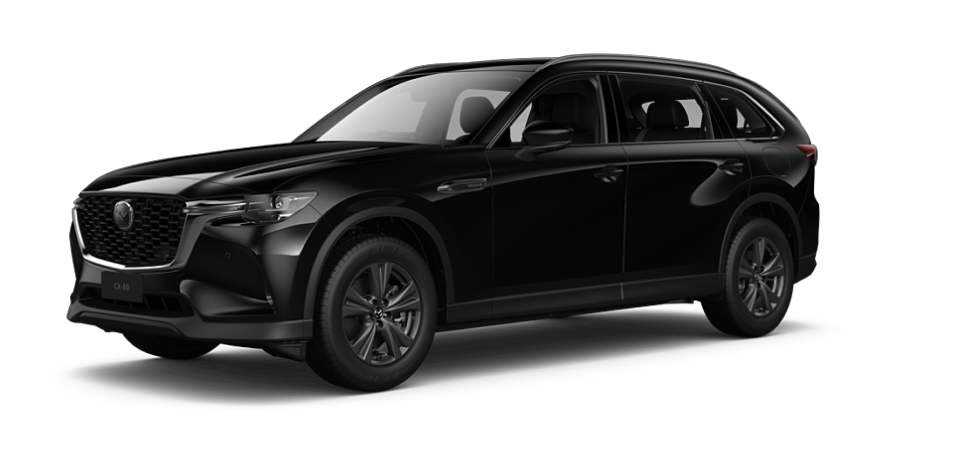 Jet Black Mica