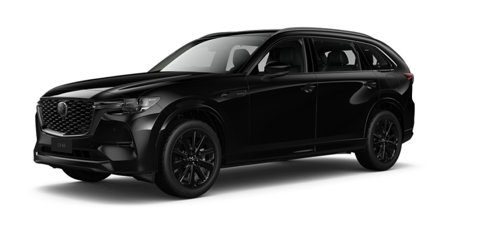 Jet Black Mica