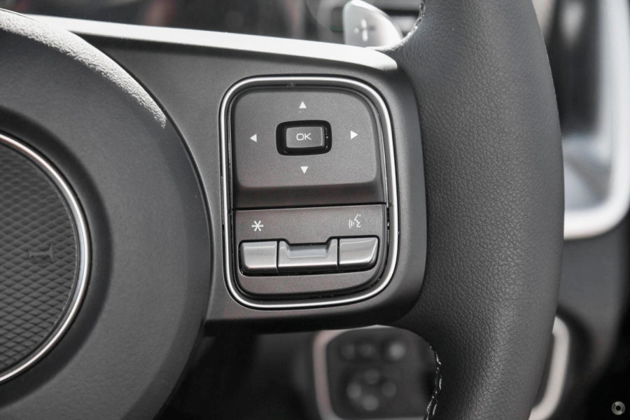 2025 GWM Cannon NPW Premium Ute Image 14