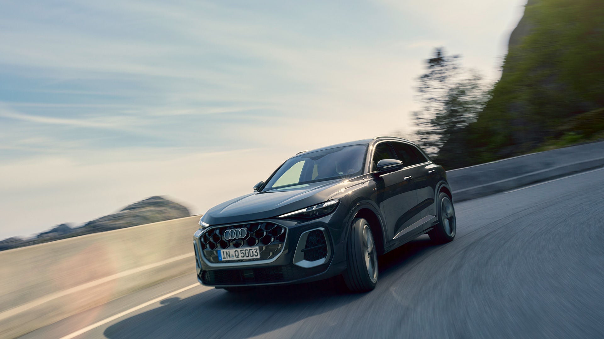 The Audi Corporate Program