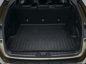 Protection Pack - Carpet Image