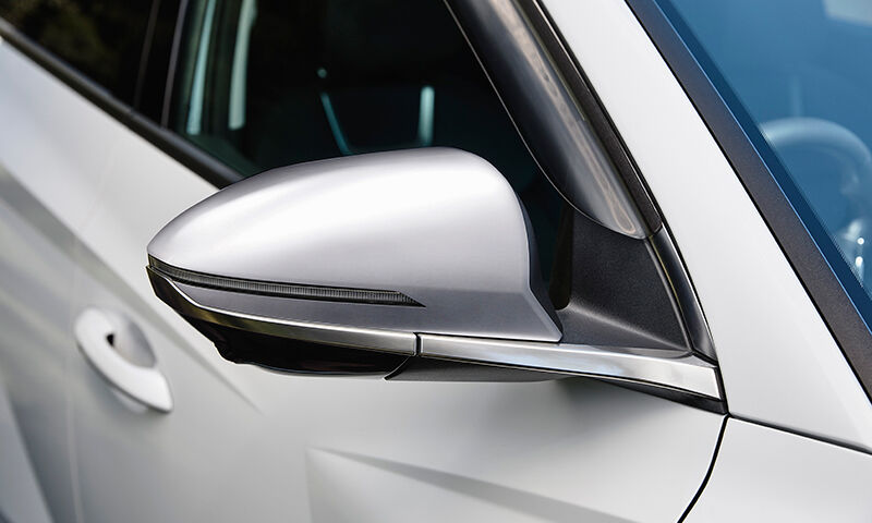 Door mirror caps - brushed alloy