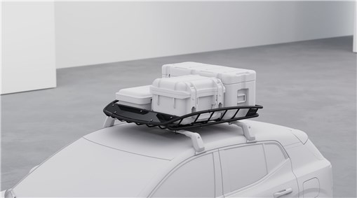 Roof basket