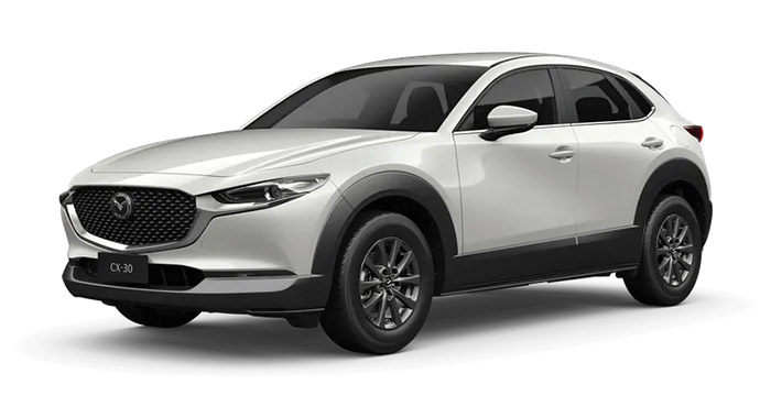 Snowflake White Pearl Mica