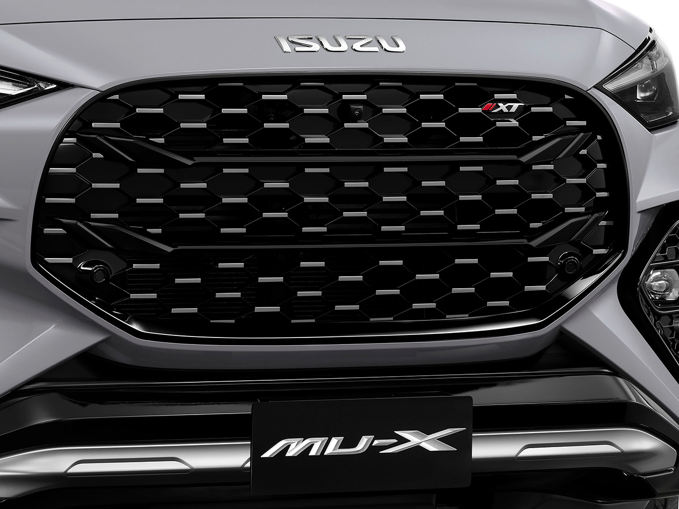 Contemporary Grille Image