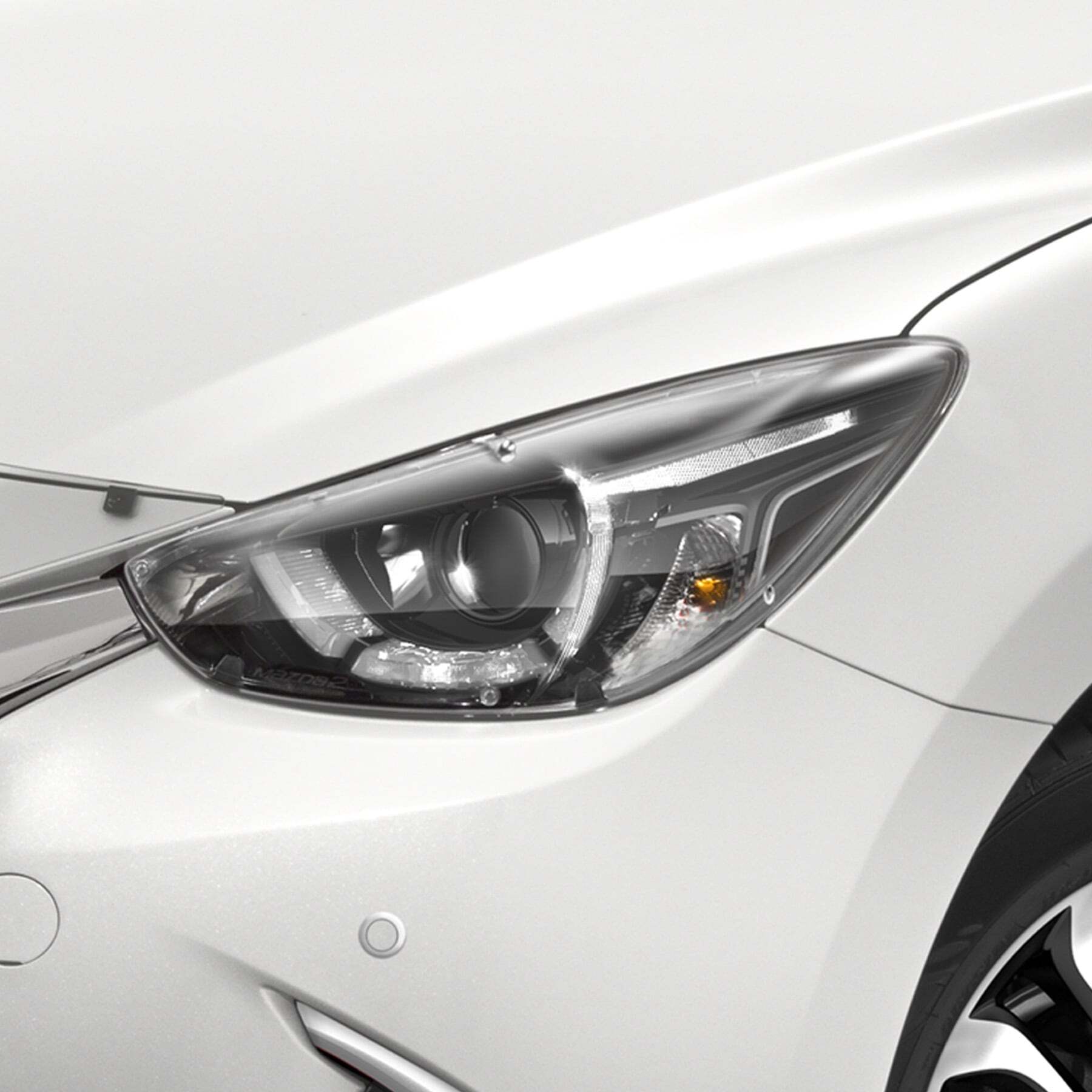 Headlight Protector