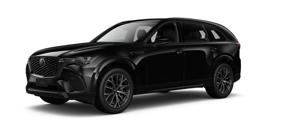 Jet Black Mica